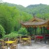 Отель Yibin, Sichuan Bamboo Sea of Emerald Hills, фото 2