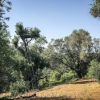 Отель Hidden gem in nature reserve on the beach, фото 18