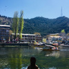 Отель Ritz HouseBoat Srinagar, фото 3