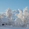 Отель Kvitåvatn Fjellhytter, фото 18