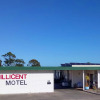 Отель Millicent Motel, фото 1