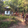 Отель Farmstay at Pha Ma Chiangrai, фото 19