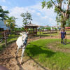 Отель Punggol Ranch Resort, фото 19