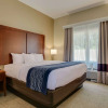 Отель Comfort Inn & Suites Augusta Fort Eisenhower Area, фото 3