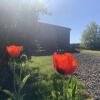 Отель Bespoke Hand Built Shepherds Hut in Dunbeath, фото 6