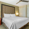 Отель Homewood Suites by Hilton Daytona Beach Speedway-Airport, фото 6