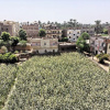 Отель Luxor Bella Vista Apartments and Hotel, фото 25