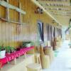 Отель Pensiunea Casa Vranceana, фото 15