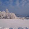 Отель Farm Stay Čardaklije, фото 16