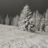 Отель Ski Apartmany, фото 9