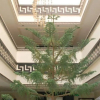 Отель Gure Termal Resort, фото 1
