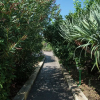 Отель Peaceful Holiday Home in Lingua on an Island, фото 24