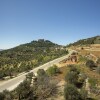 Отель Ajloun Hotel, фото 3