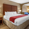 Отель Comfort Inn Biltmore West, фото 4