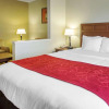 Отель Comfort Suites Montgomery East Monticello Dr., фото 26