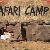 Отель Safari Camp Osian Resort, фото 15