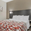 Отель Red Roof Inn Hutchins, фото 5