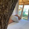 Отель Cabane Dans Les Arbres, фото 4