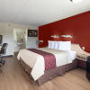 Отель Red Roof Inn Cincinnati Northeast - Blue Ash, фото 5