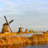 Отель B & B Meet the Dutch, фото 11