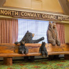 Отель North Conway Grand Hotel, фото 1
