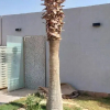 Отель Antola Resort Al Rimal, фото 1