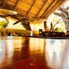 Отель Toro River Lodges Big 5 Safari, фото 43