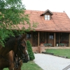 Отель Apartments Old Oak House Varaždin, фото 18