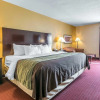 Отель Quality Inn, фото 30