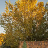 Отель Grand Canyon Bed and Breakfast, фото 1