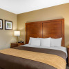 Отель Comfort Inn & Suites Peachtree Corners, фото 4