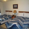 Отель Bad Axe Motel, фото 14