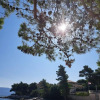 Отель Jela - 50 m from pebble beach - A1(4+1), фото 14