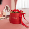 Отель Luxury Apartment Domenica, фото 2
