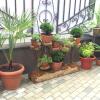Гостиница Bridge House Hotel Sochi Гостиница Bridge House Hotel Sochi в Сочи