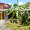 Отель Studio In Le Gosier With Shared Pool Furnished Terrace And Wifi 5 Km From The Beach, фото 1