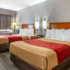 Отель Econo Lodge & Suites, фото 24