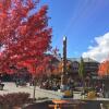 Отель The Alpenglow At Whistler, фото 29