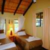 Отель Timbavati Safari Lodge, фото 2