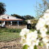 Отель Casa Rural La Zafrilla, фото 11