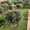 Отель Villa AH MN, фото 5