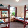 Отель Punakaiki Beach Hostel, фото 6