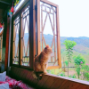 Отель Dragon's Den Hostel in Longji Rice Terraces, фото 14