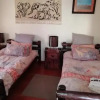 Отель Bushbabies Inn, фото 3