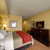 Отель Comfort Inn & Suites Donna near I-2, фото 6