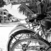 Отель Pine Cay, Turks and Caicos, фото 20