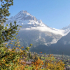 Отель Chalet Shangri La, фото 16