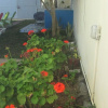 Отель House Private Pool Wifi Jacuzzispa security Alarm Canal Near sea, фото 5