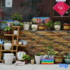 Отель Wenchuan Yueting Yushe Homestay, фото 6