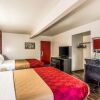 Отель Econo Lodge, фото 7